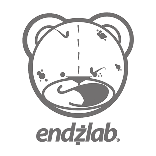 Logo Endzlab