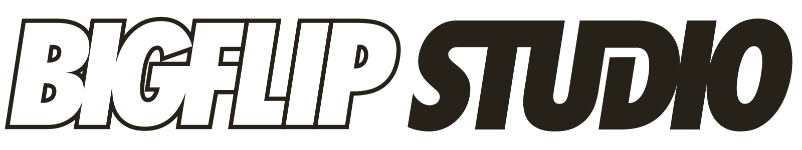 Logo Bigflip Studio